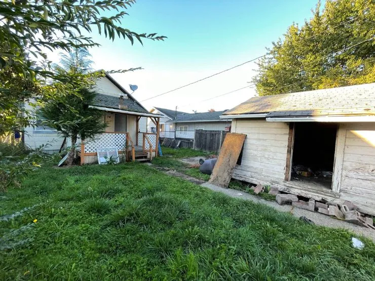 An overgrown back yard and an outbuilding with one wall open to the weather