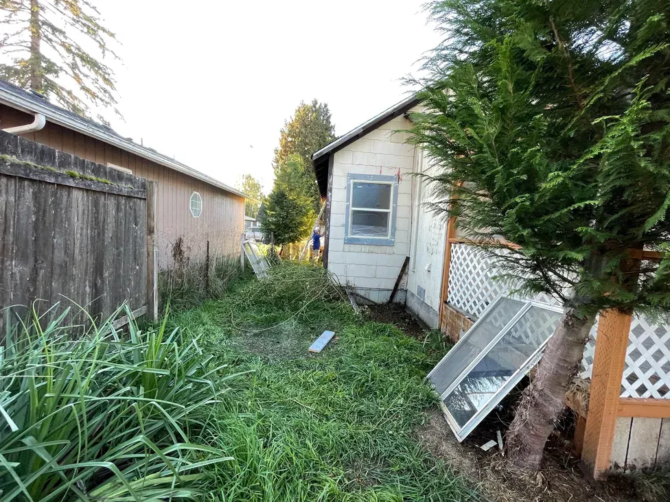 The side yard of a Longview, WA house, with knee-high grass, window sashes pulled out and leaning against the shingle siding, and a lattice-skirted deck